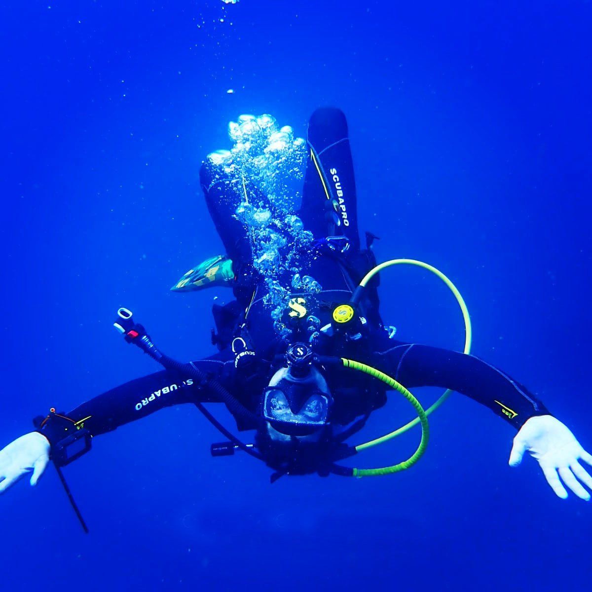 A scuba diver in a black wetsuit with the letter s on it