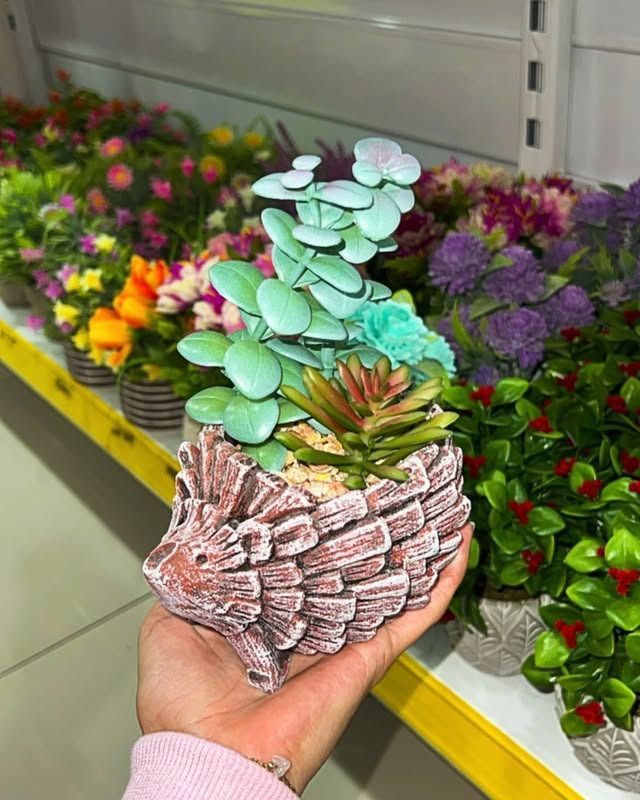 Jardinera en forma de erizo llena de suculentas de colores vibrantes, en tonos tostados y verdes