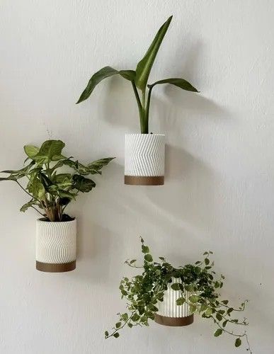 Tres jardineras de pared en tonos blancos y madera con vegetación sobre una pared blanca.