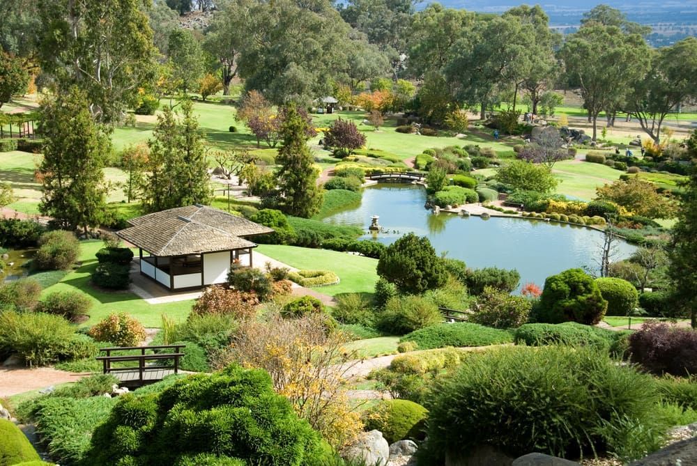 An Aerial View of A Park with A Pond and Trees — Maslin Concrete Pumping in Cowra, NSW