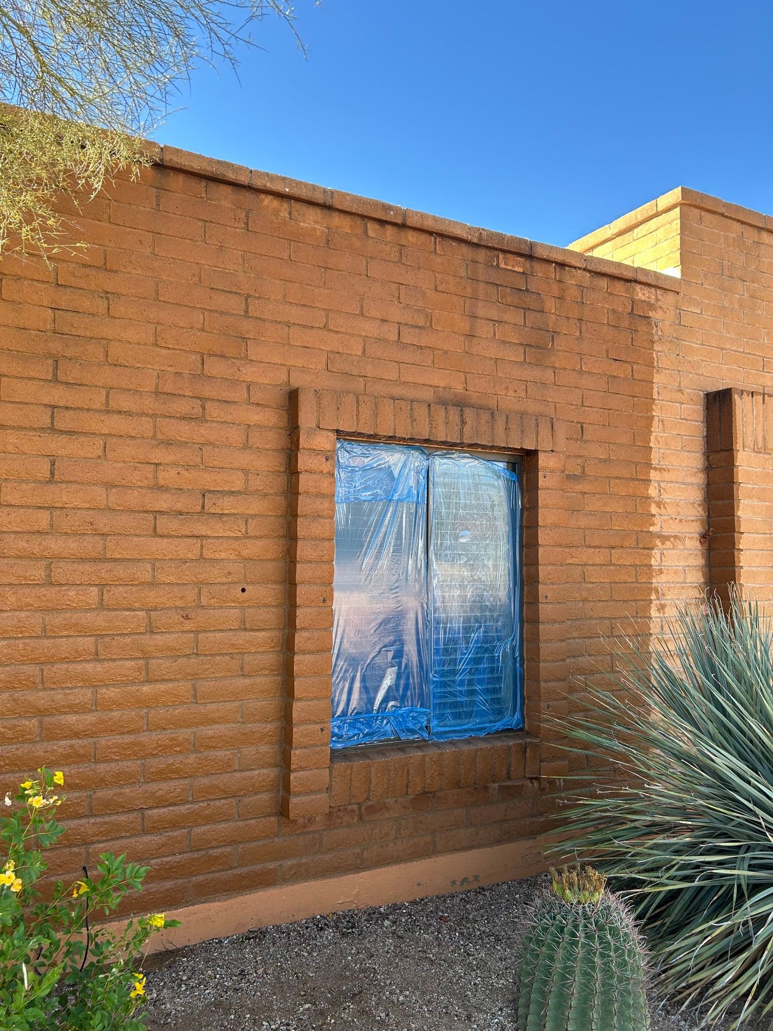 A brick wall with a window and a cactus in front of it.