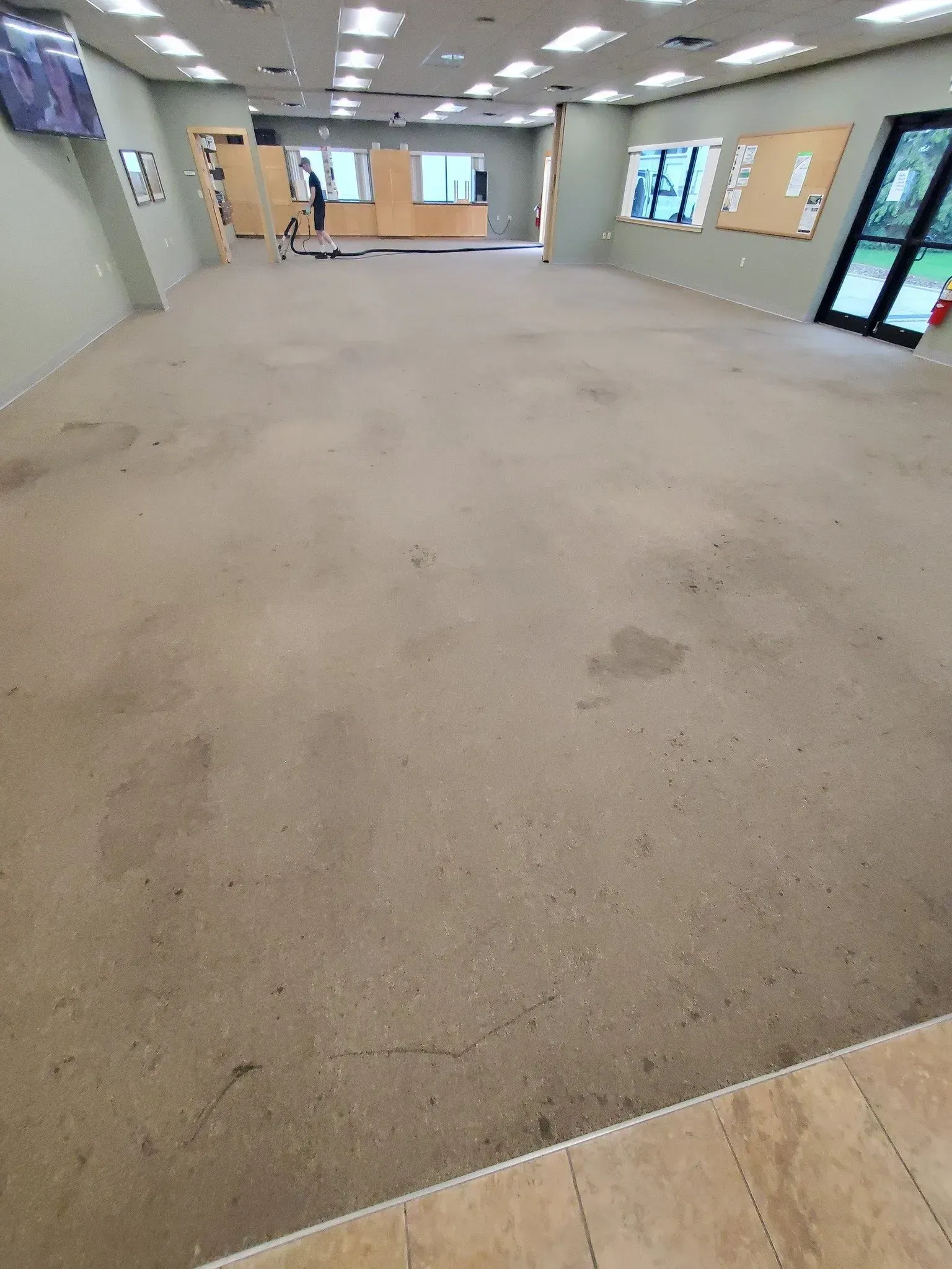 A large room with a carpeted floor and a lot of windows.