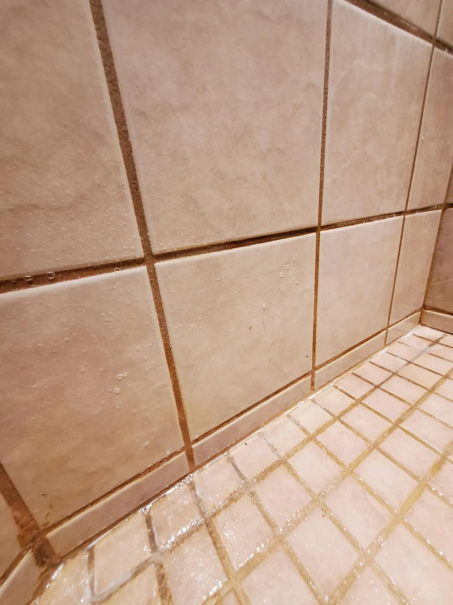 A close up of a tiled floor and wall in a bathroom.