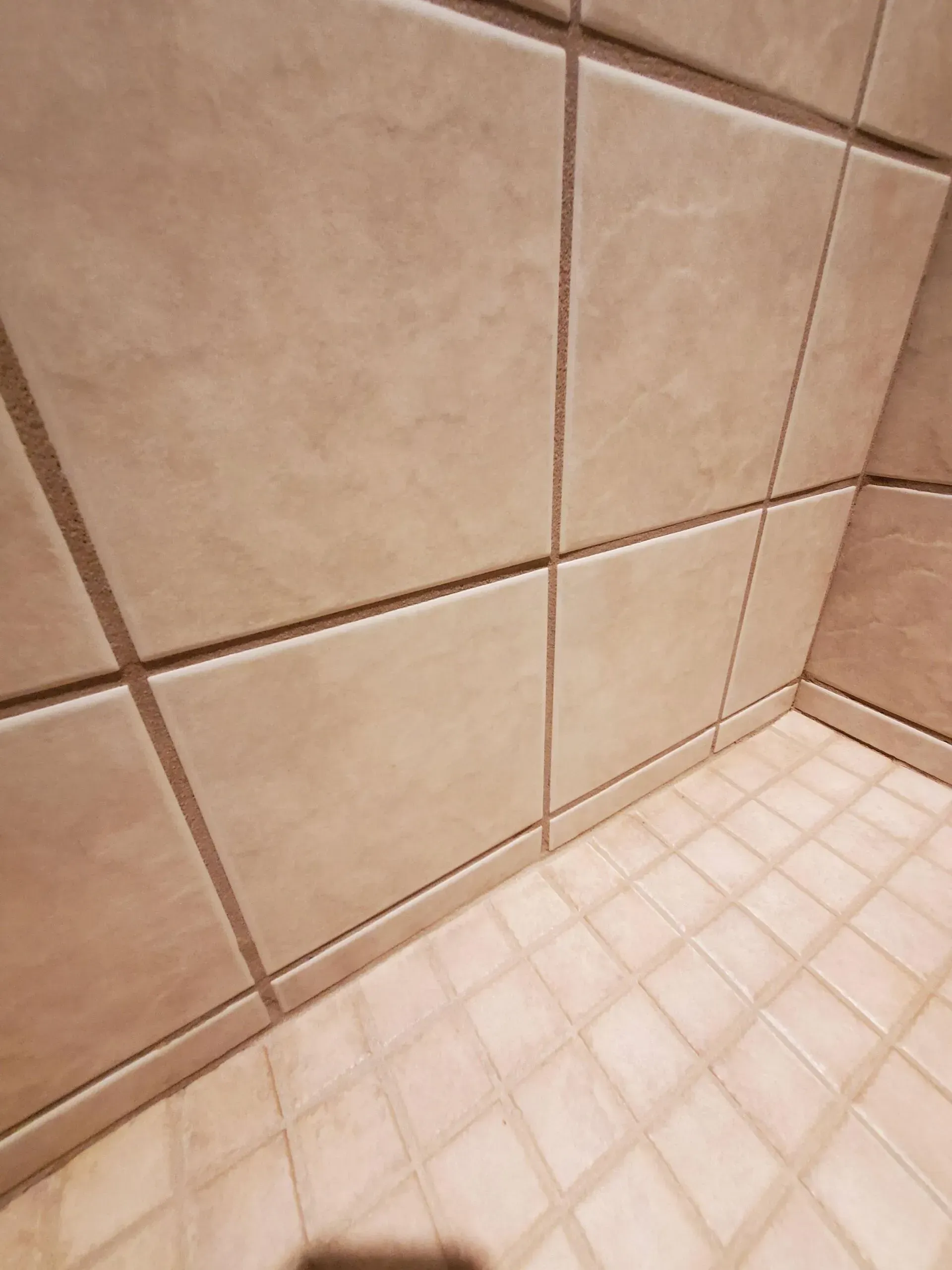A corner of a bathroom with tiles on the wall and floor.