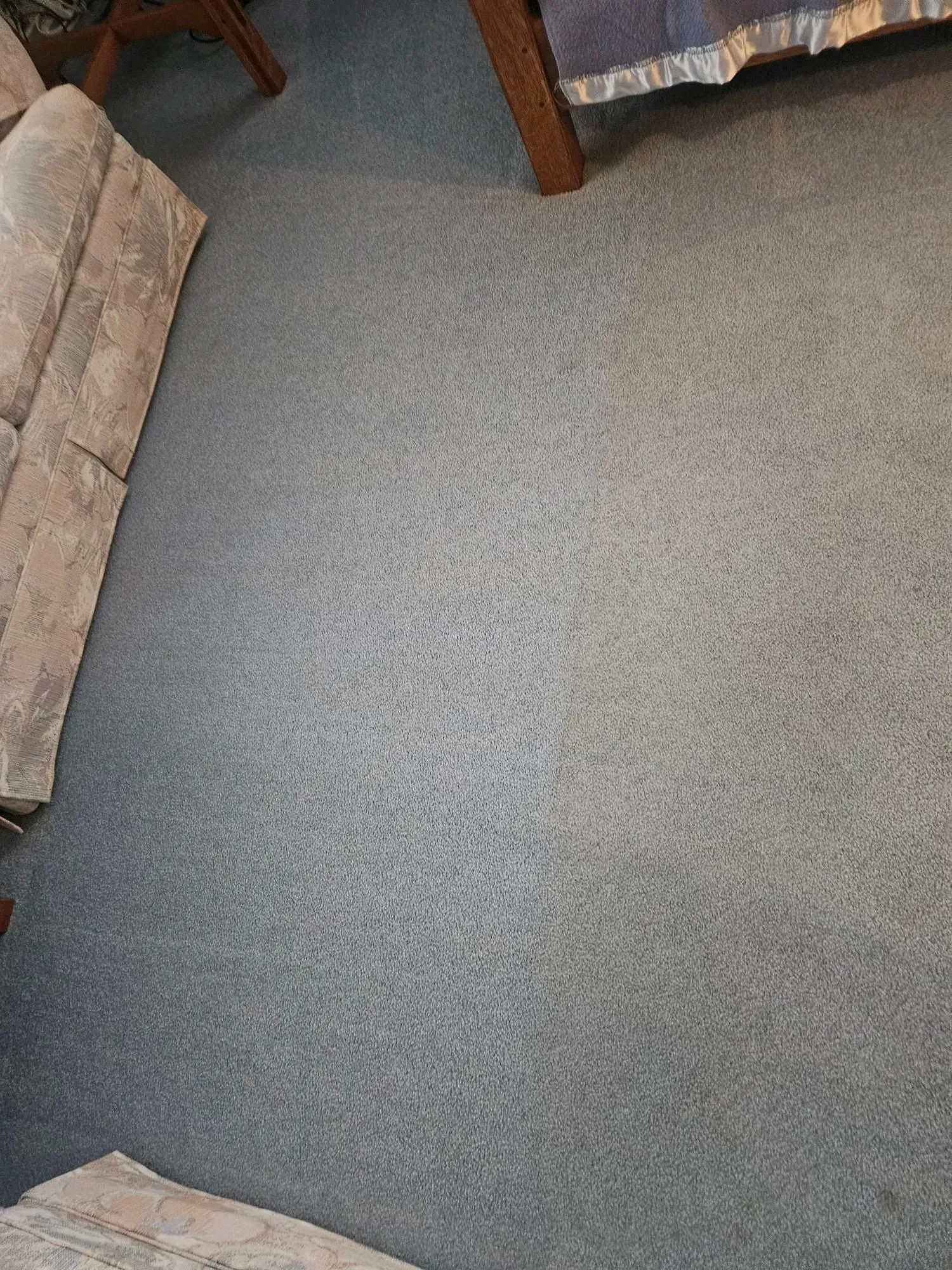 A gray carpeted floor in a living room with a couch and a bed.