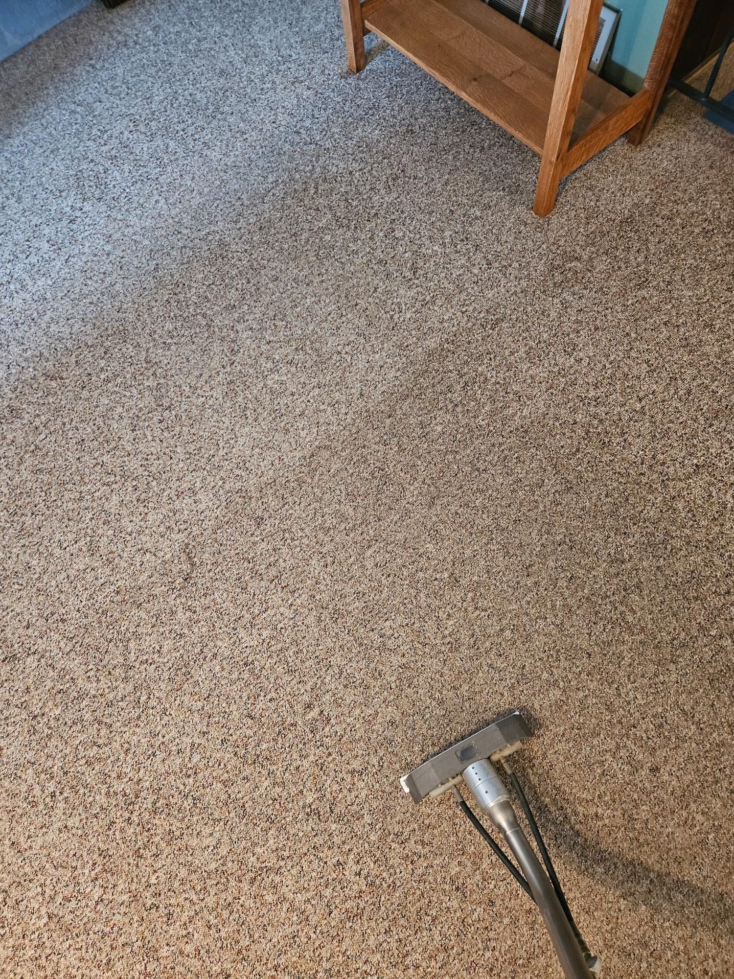 A vacuum cleaner is sitting on top of a carpet in a living room.