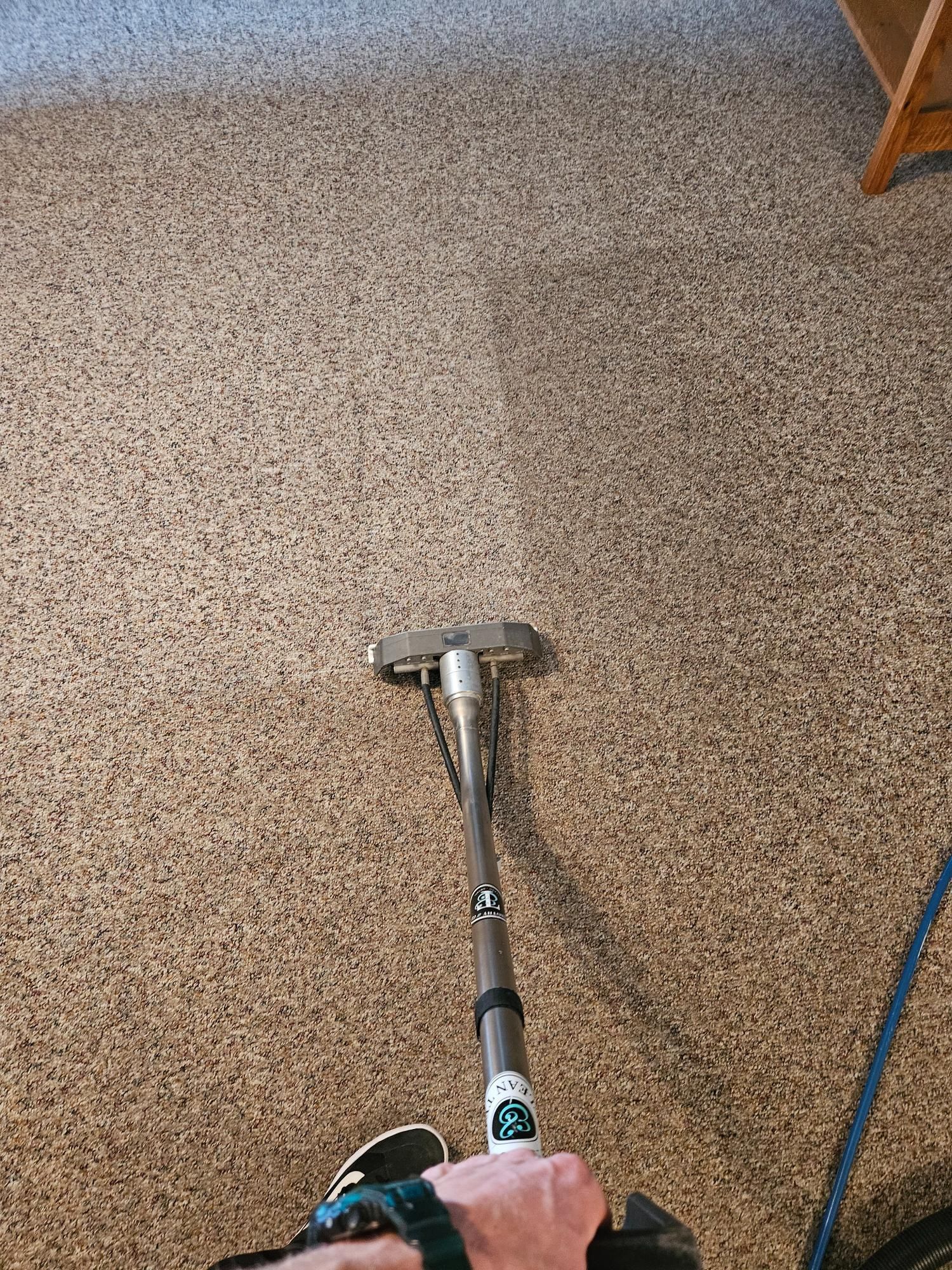 A person is cleaning a carpet with a vacuum cleaner.