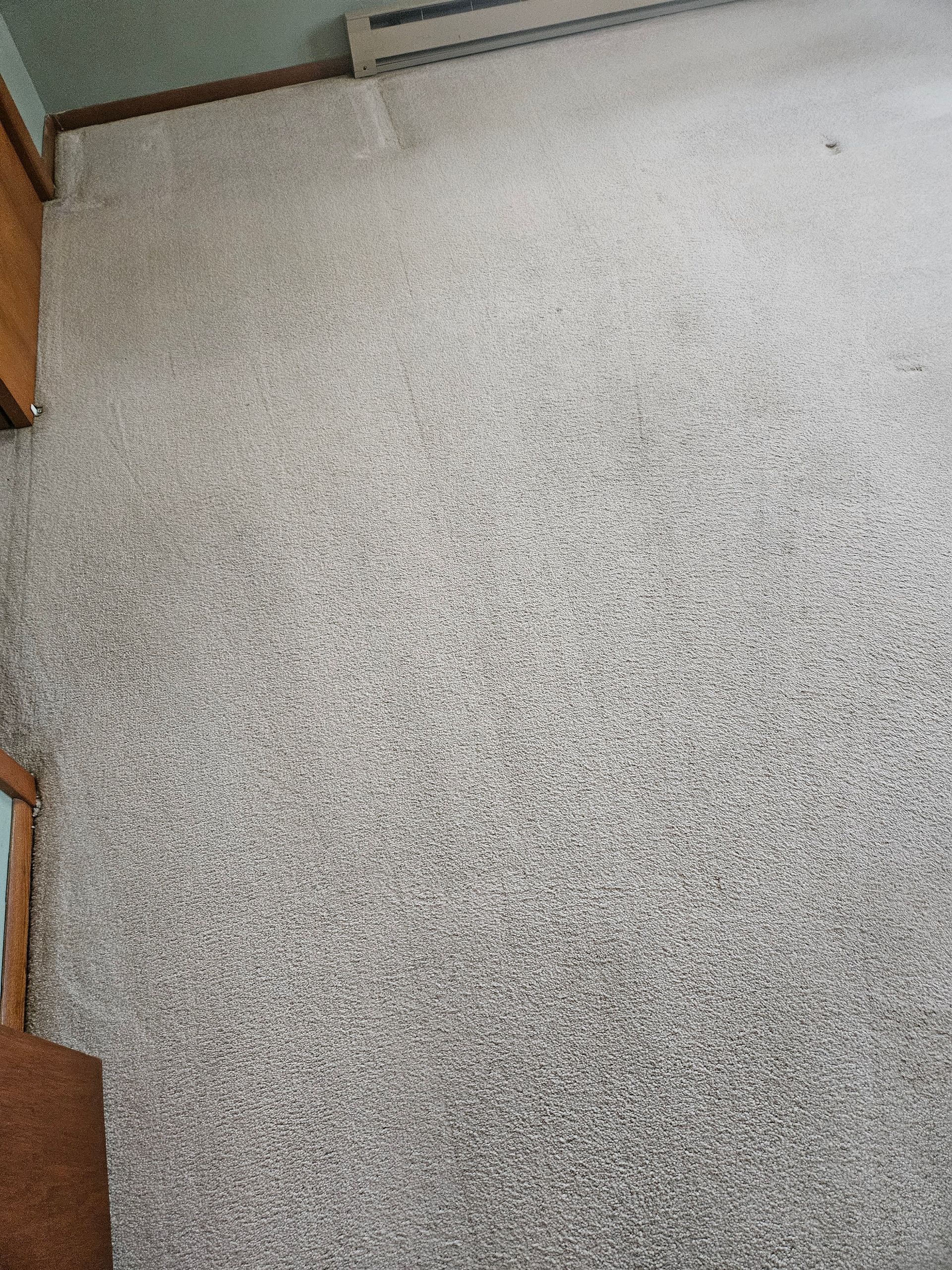 A close up of a carpeted floor in a room.