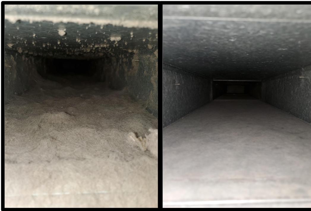 Timothy & Co. Top Rated Carpet Cleaning Morris, Minnesota