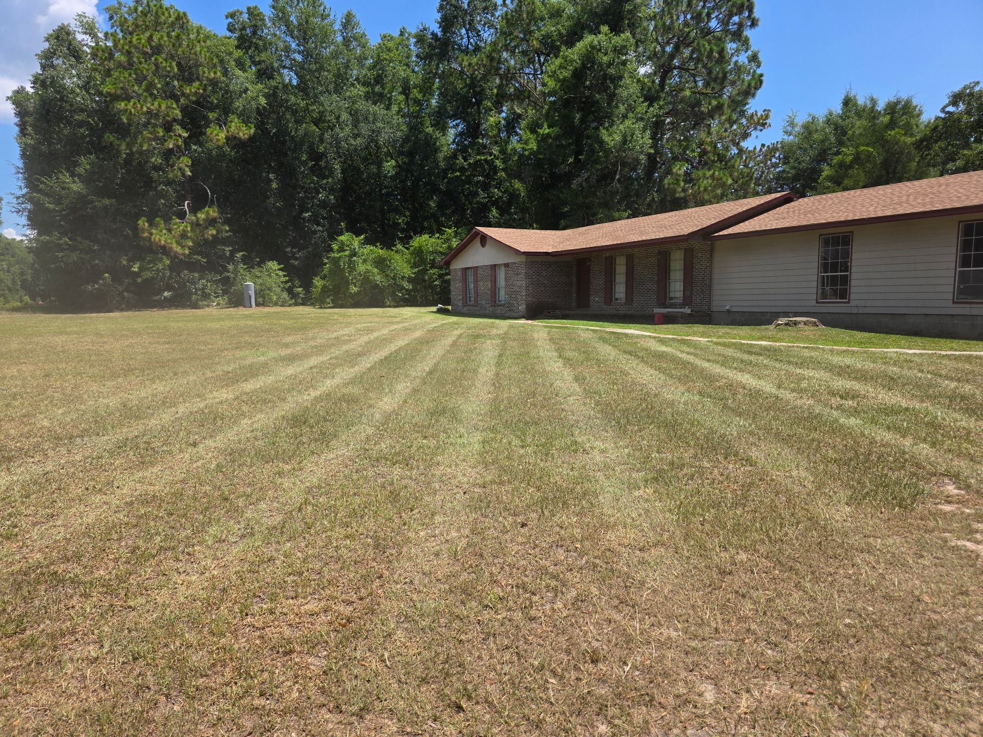 Lawn mowed in stripes in front of a single-story house with a wooded backdrop on a sunny day.