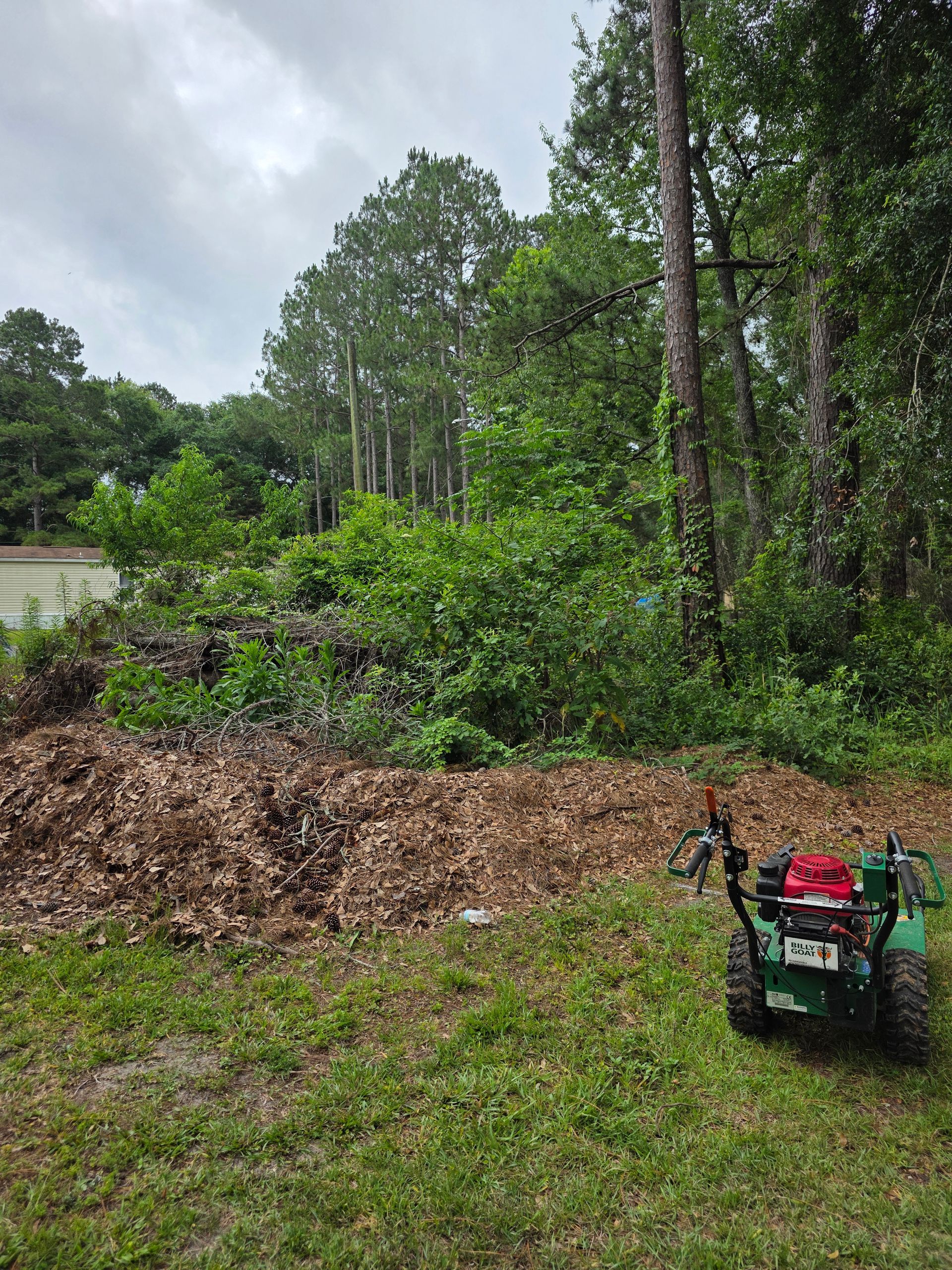 A leaf pile in front of green trees and a small lawnmower on grass under a cloudy sky.