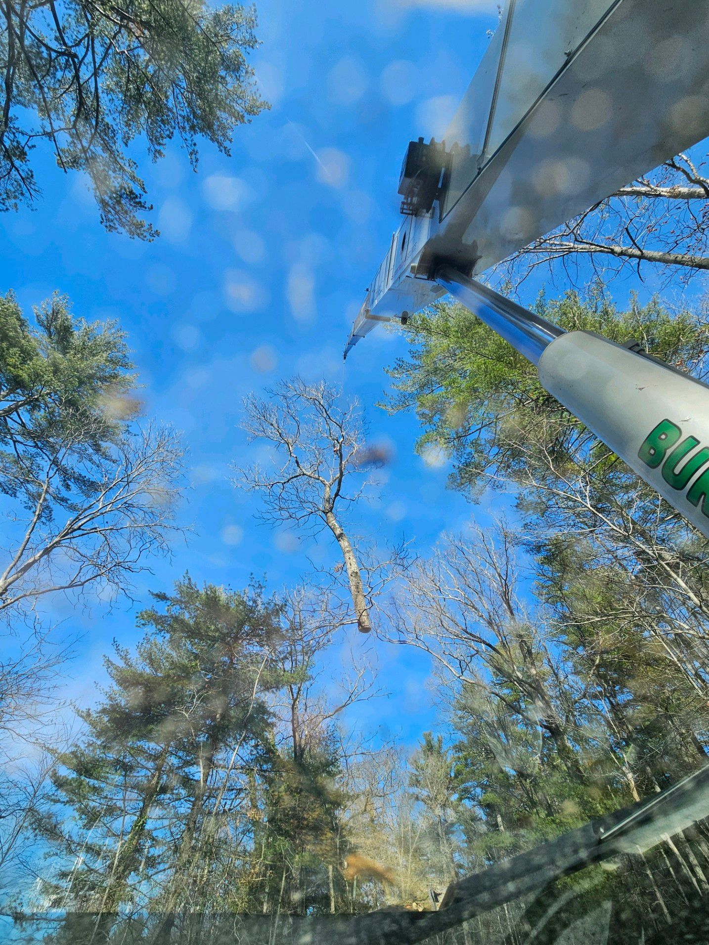 Bright blue sky seen through a windshield. Trees surround, with a mechanical arm visible on the right.