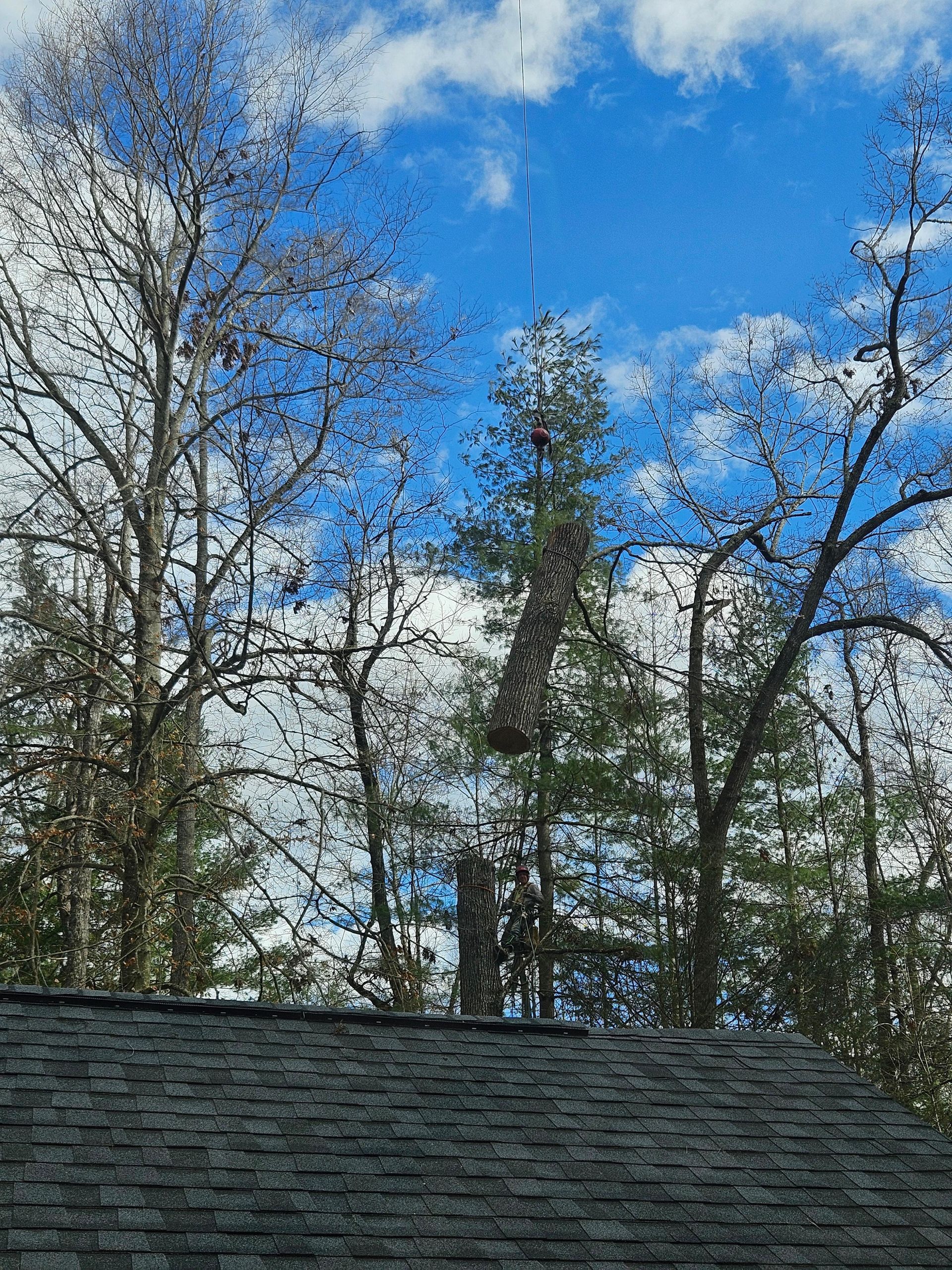 Trees against a blue sky with scattered clouds. A gray roof is in the foreground.