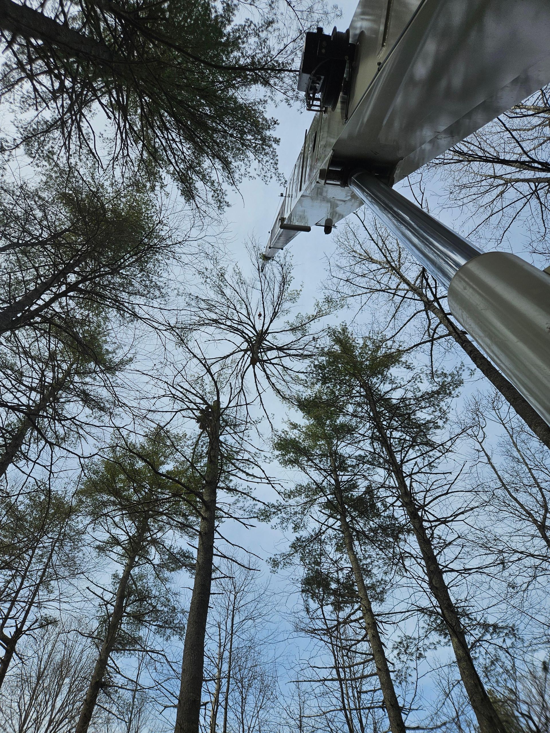 Looking up through tall trees toward a mechanical arm, possibly a crane, against a cloudy sky.