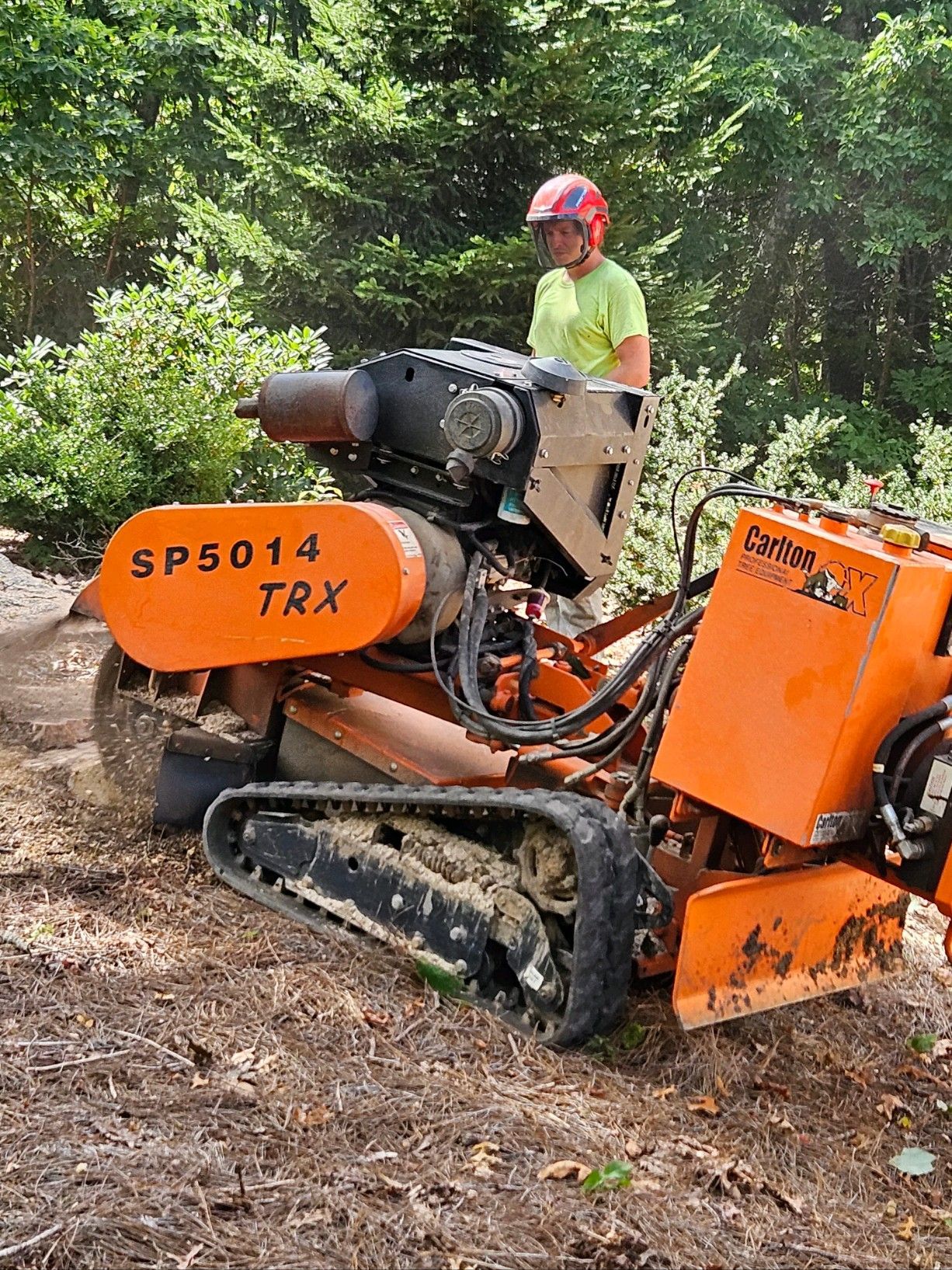 Person operating an orange stump grinder with tracks in a wooded area.