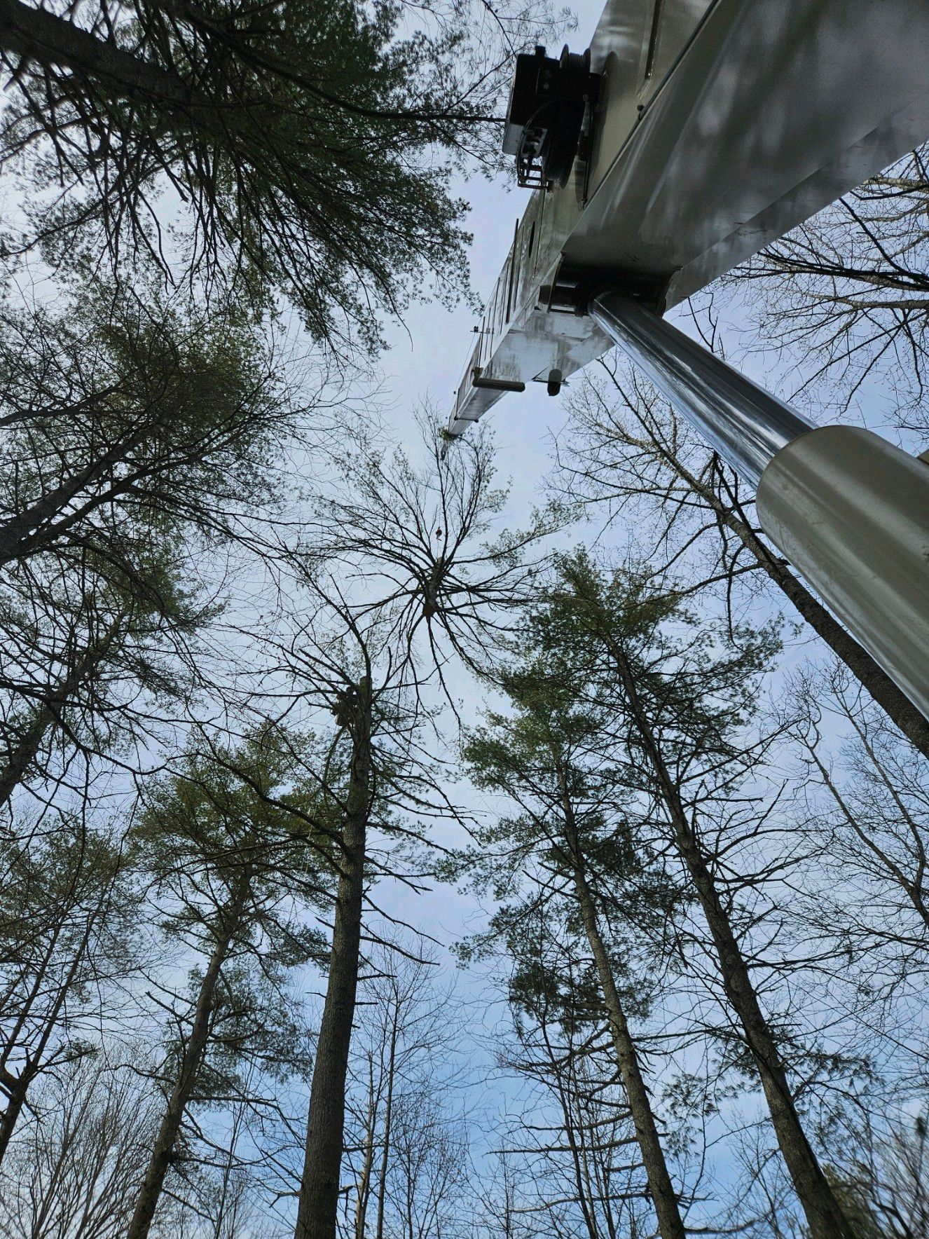Looking up at trees and an extended, silver crane arm against a cloudy sky.