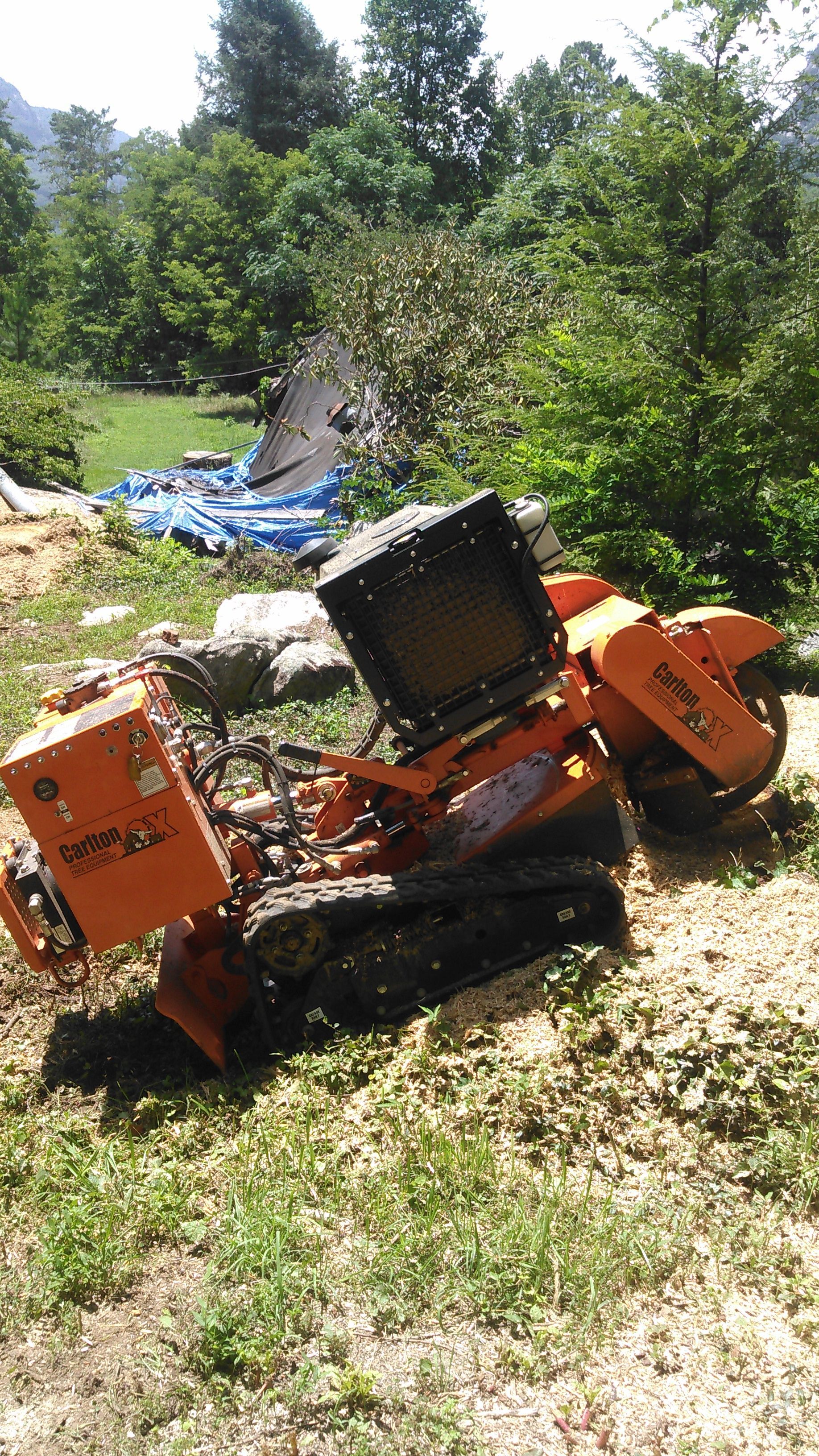Orange stump grinder on tracks, grinding wood in a grassy area with trees and a blue tarp in the background.