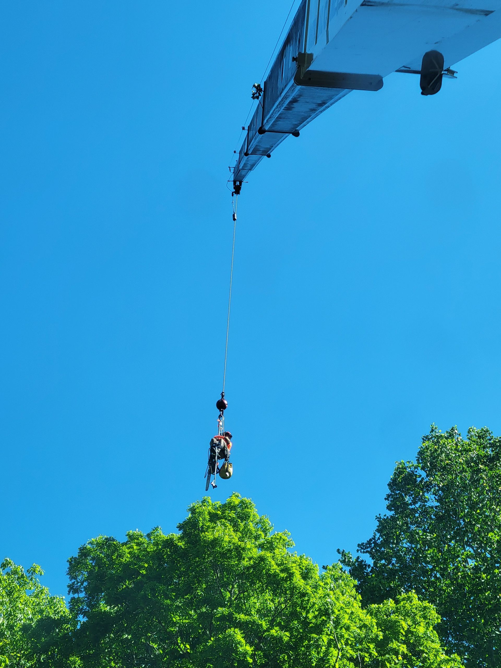Crane lifting people in a rescue basket from treetops against a bright blue sky.