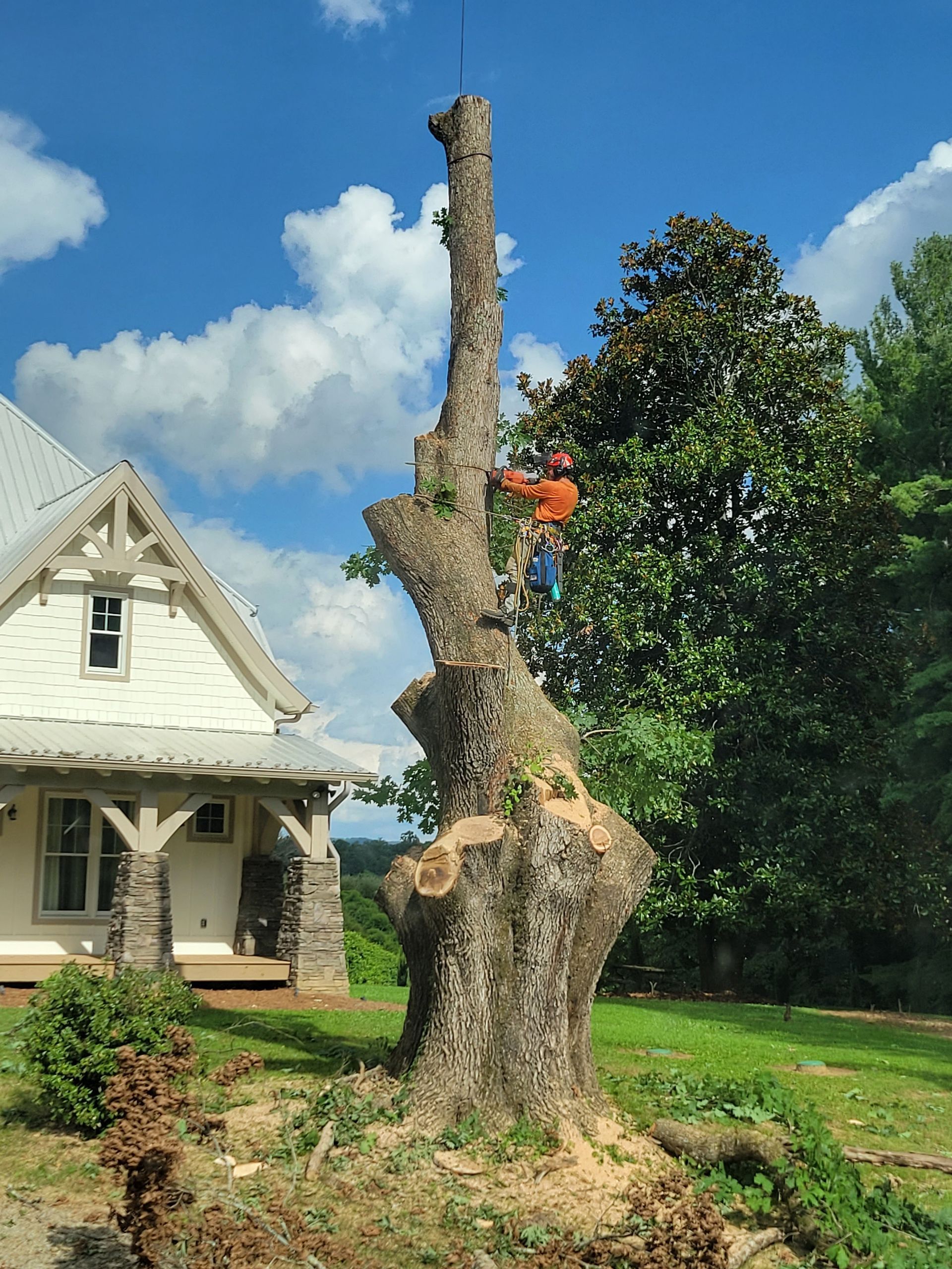 Tree stump next to a white house with a stone porch on a sunny day.