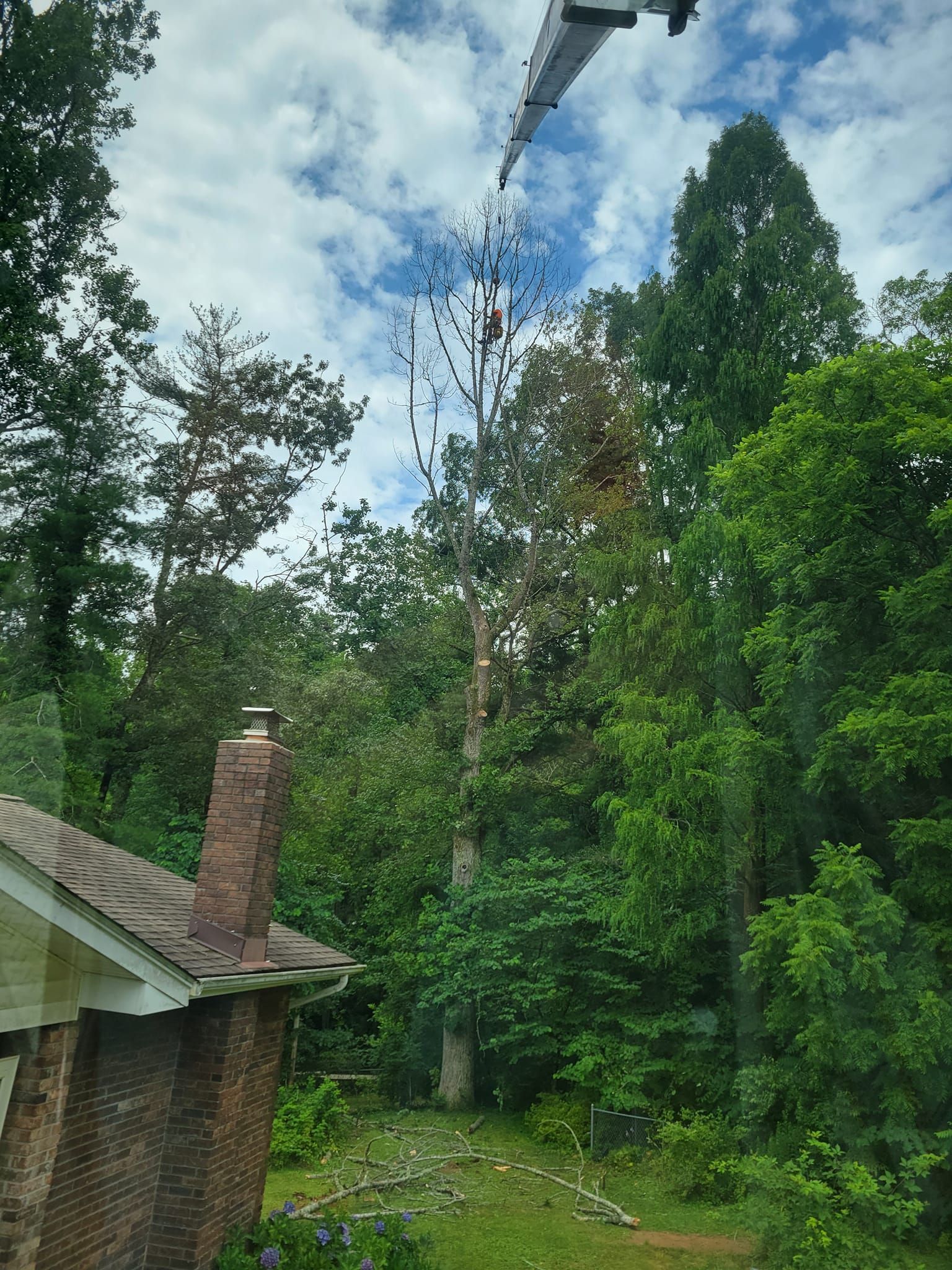 Tree being trimmed by a lift, with a house roof and other trees in the foreground. Blue sky with clouds.