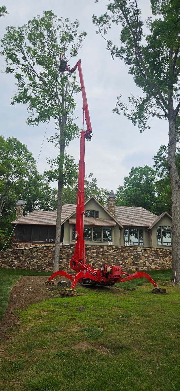A red tree-trimming lift extends high, cutting a tree near a house with a stone wall and shingled roof.