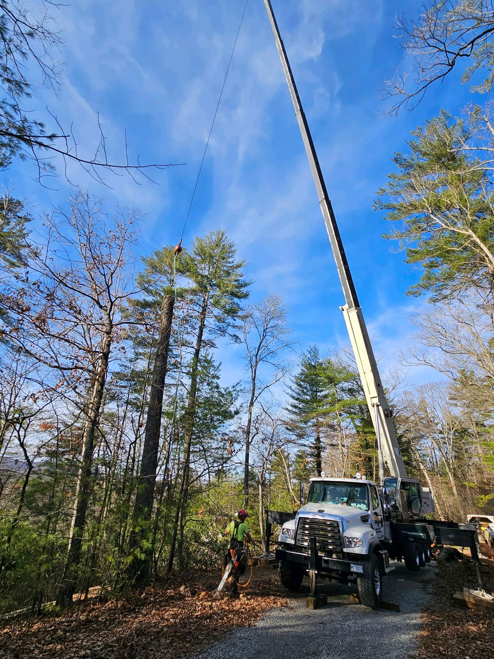 A crane truck extends high above a forest clearing, person nearby, under a blue sky.