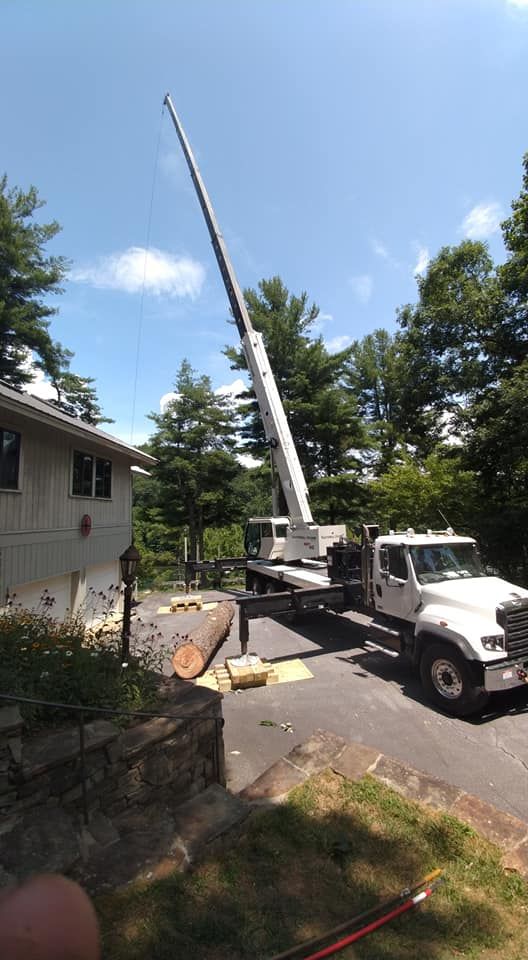 A crane removes a tree near a house on a sunny day.
