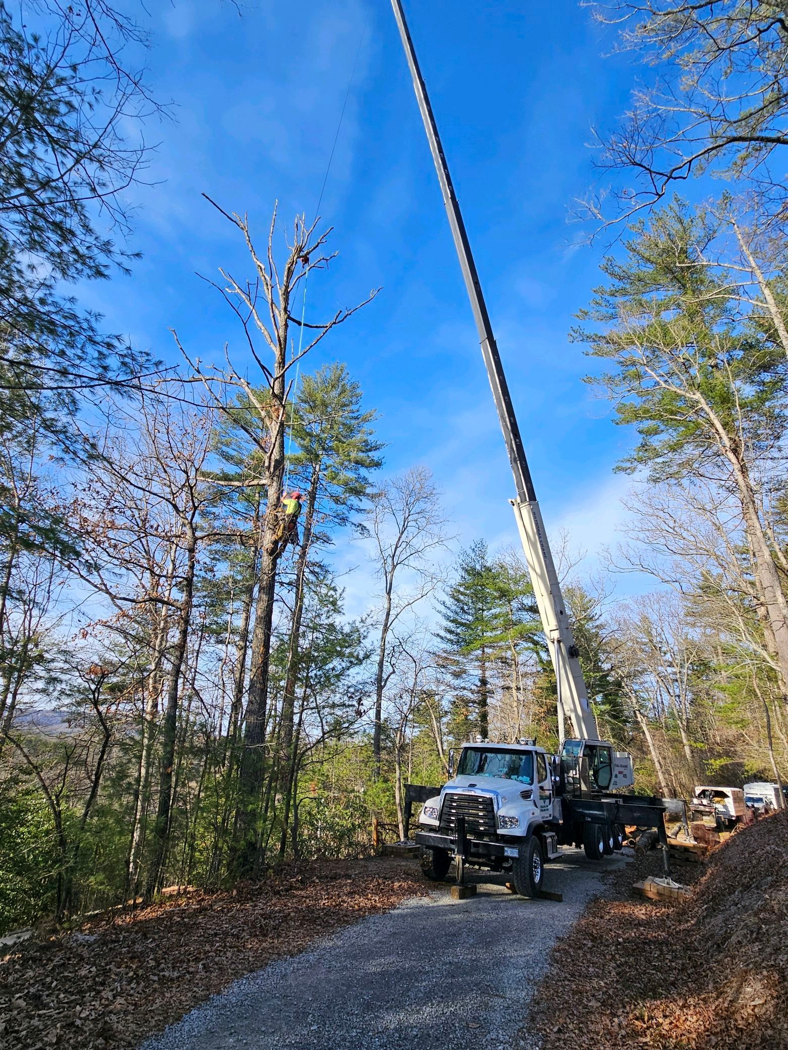 Truck with extended boom working on power lines in a wooded area under a blue sky.