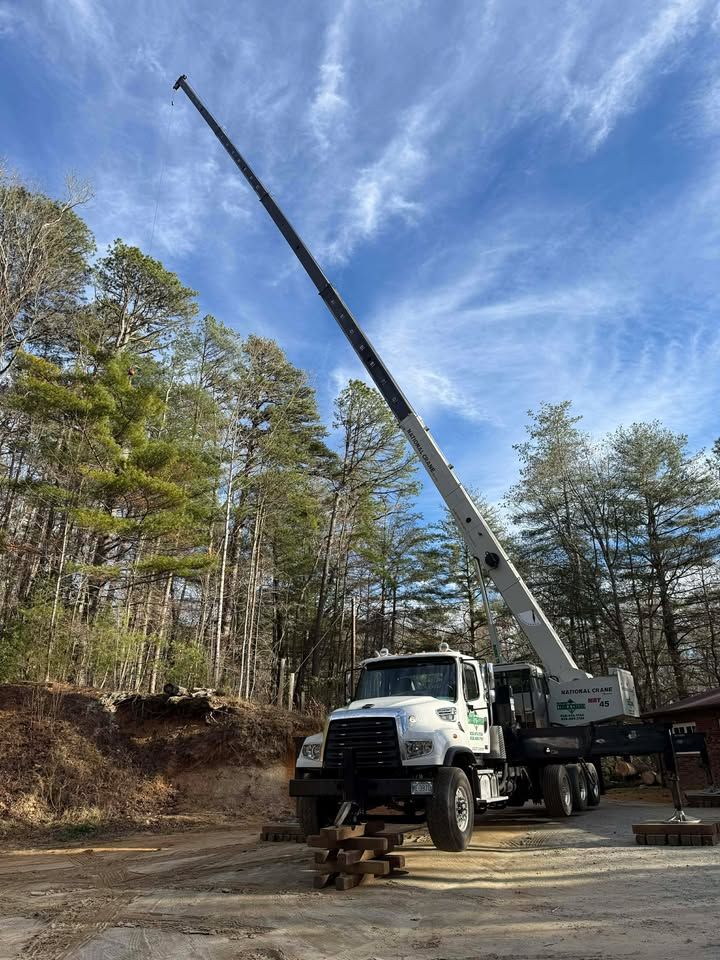 White crane truck with extended boom, outdoors near trees, blue sky.