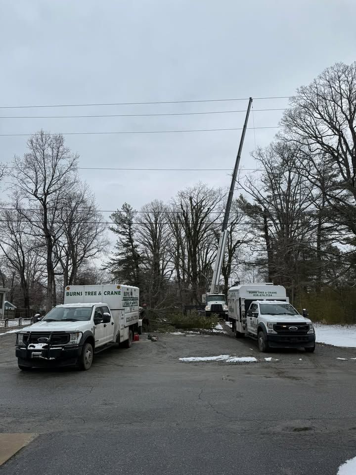 Tree service trucks near power lines; a lift is elevated, trimming branches. Winter scene.