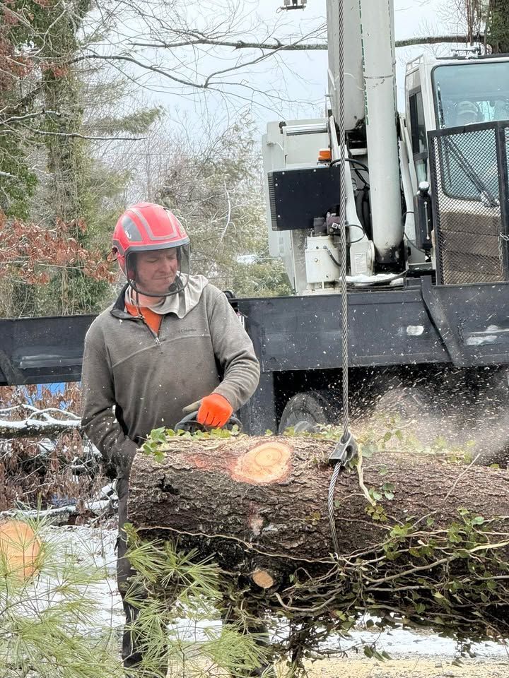 Man with chainsaw cutting a log outdoors, wearing orange gloves and a red helmet.