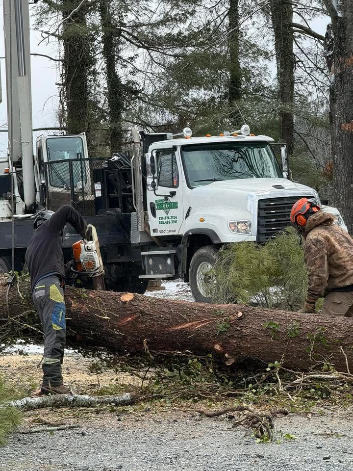 Two workers cutting a fallen tree with chainsaws near a white truck. Forest setting.
