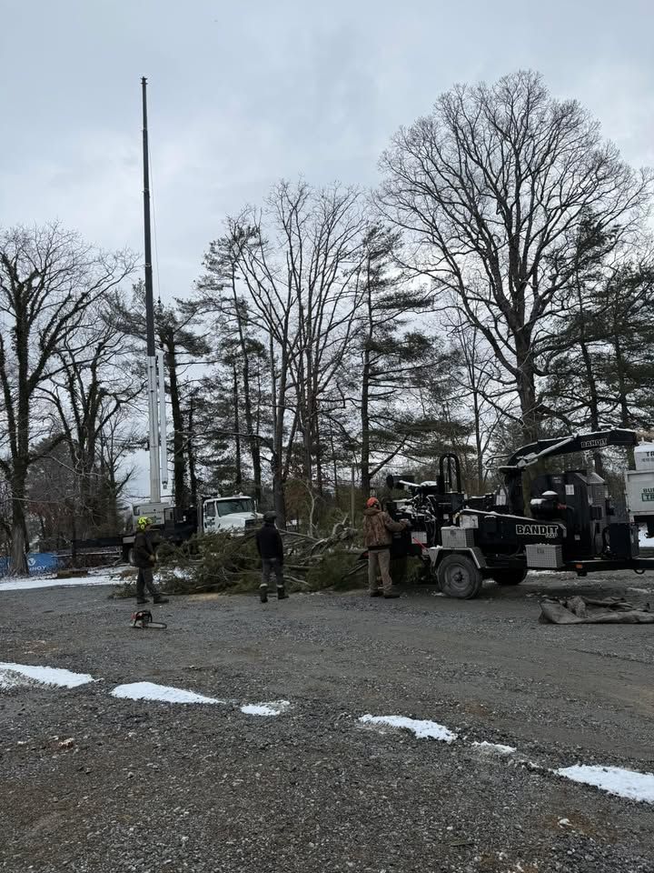 Workers removing a tree; a tall pole, truck, and trees are in a gravel lot on a cloudy day.