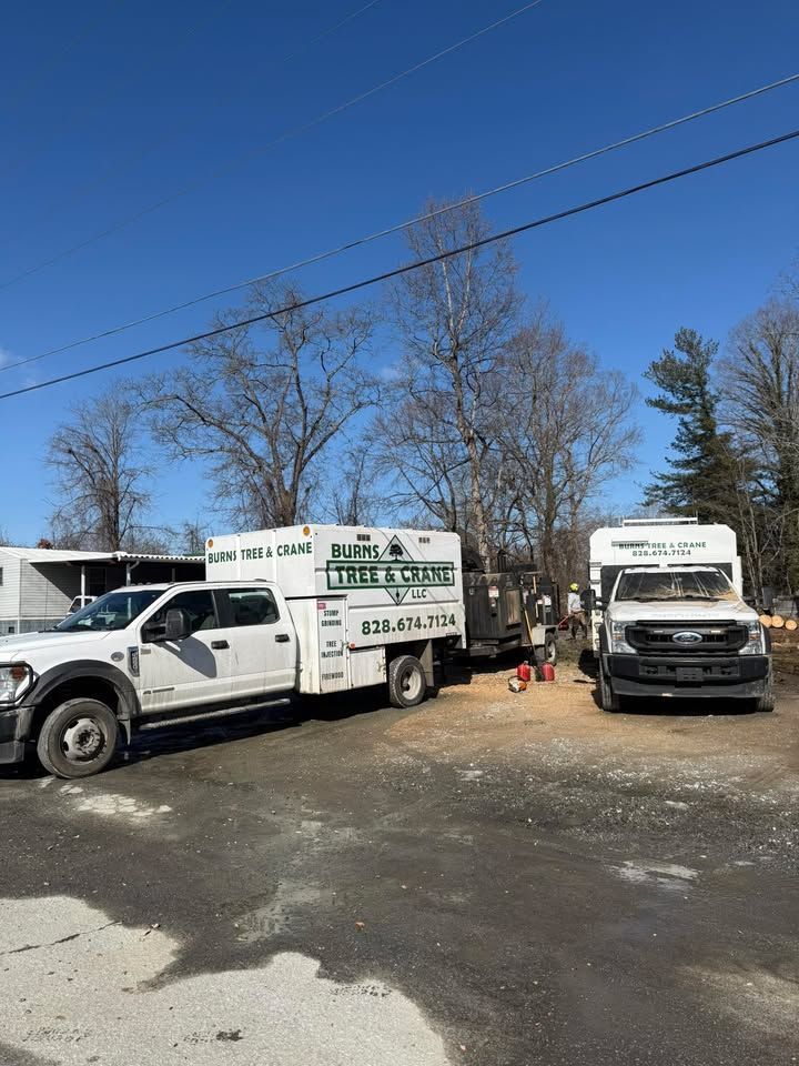 White work trucks parked in a lot, one towing a trailer. Sunshine, blue sky, trees.