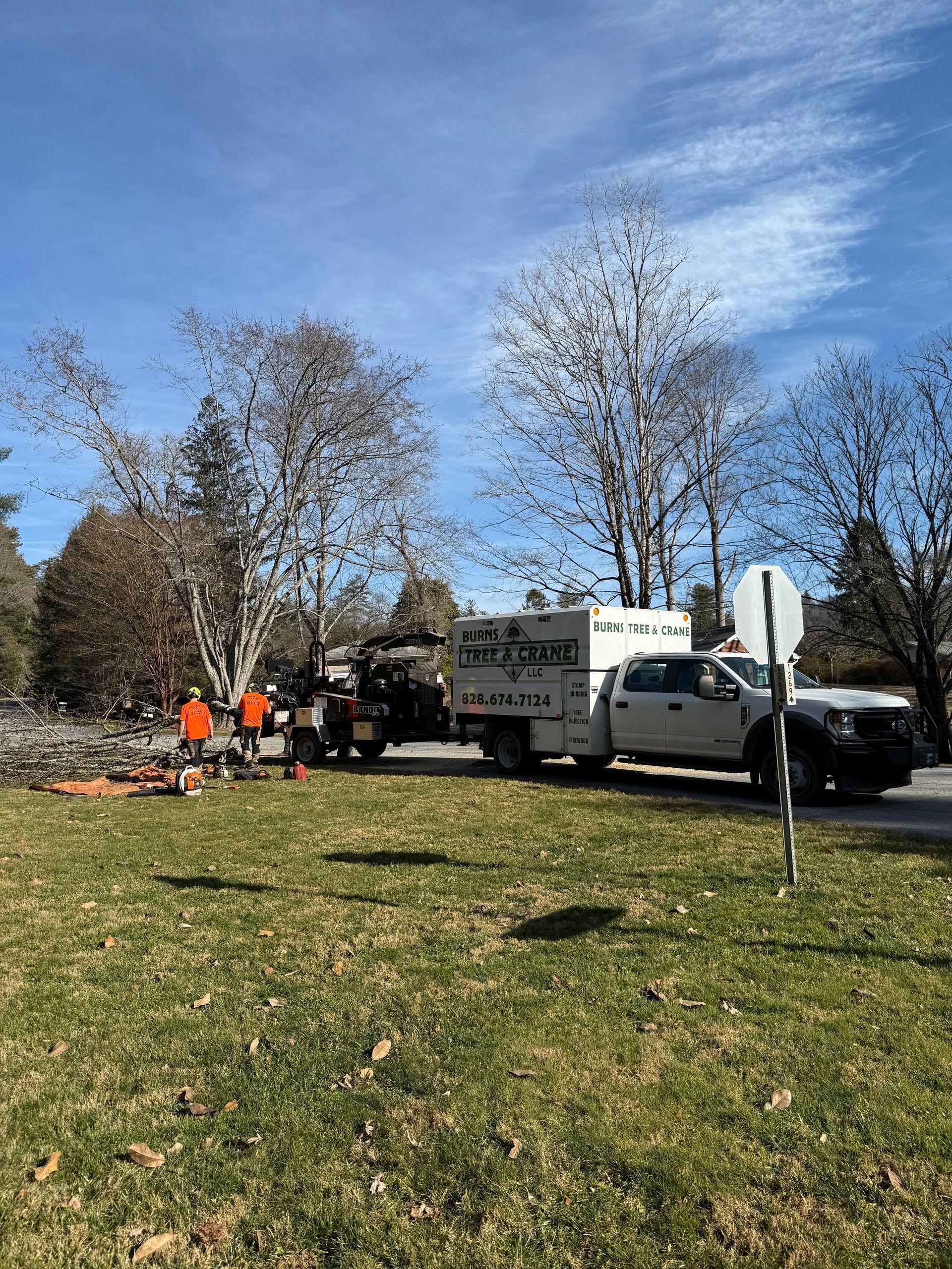 Tree service truck and workers near cut trees on a grassy lawn under a blue sky.