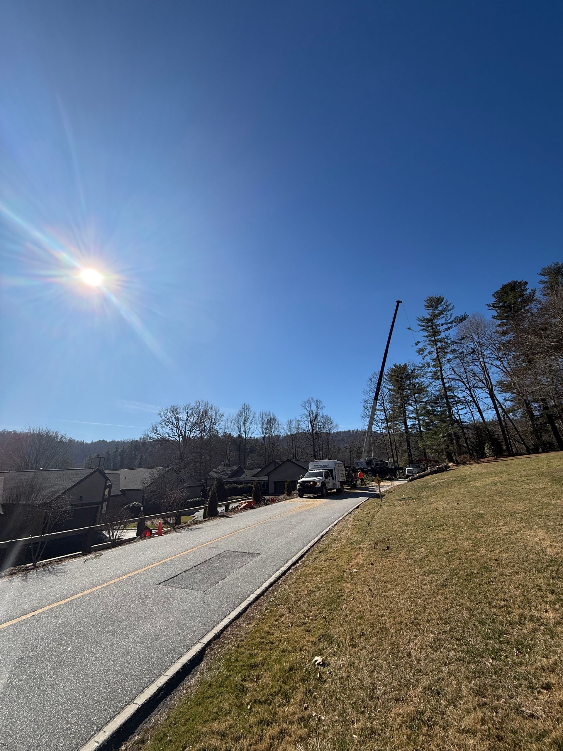 Street scene with utility trucks, crane, trees, and houses under a bright blue sky.