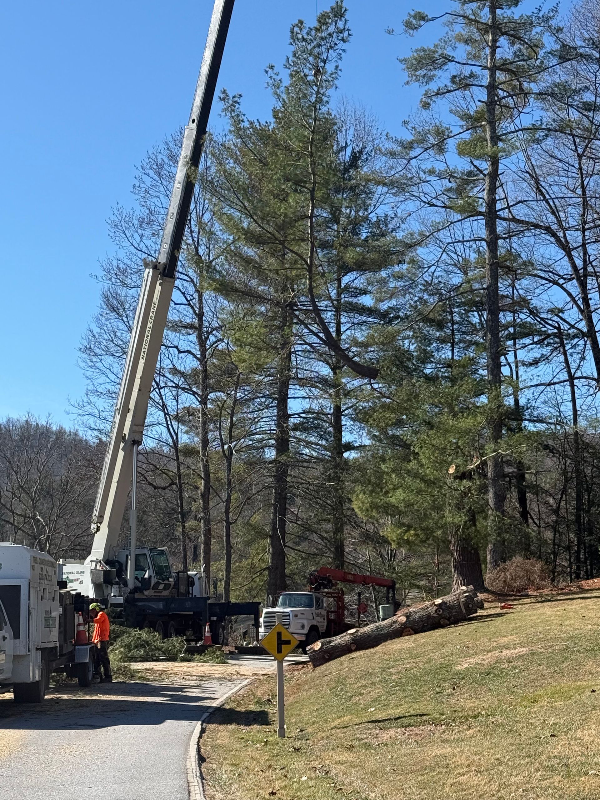 A crane lifts a tree trunk while workers stand near a truck. The setting is outdoors.