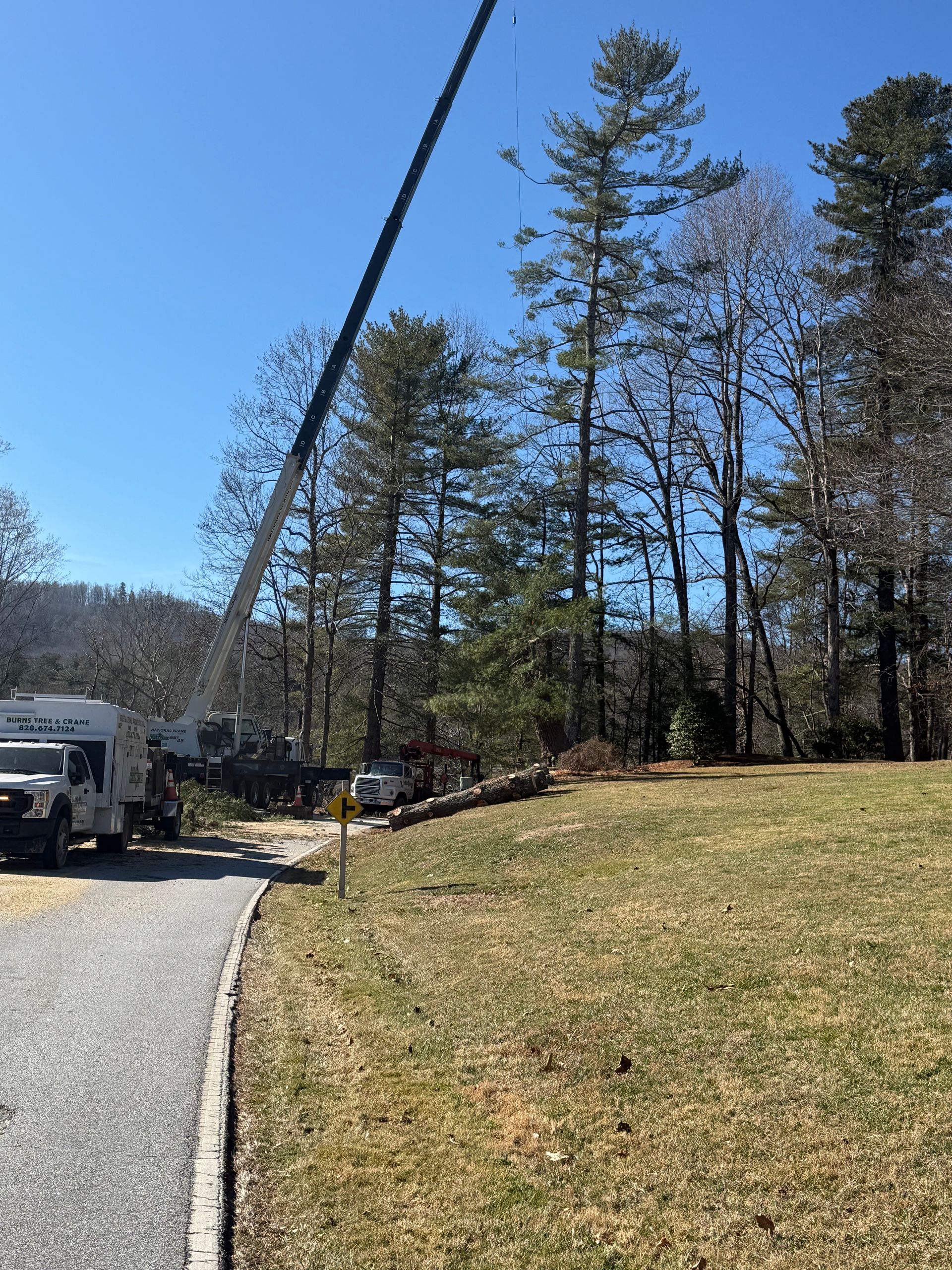 Crane removing tree in a residential area, with a truck on asphalt and felled logs on the ground.