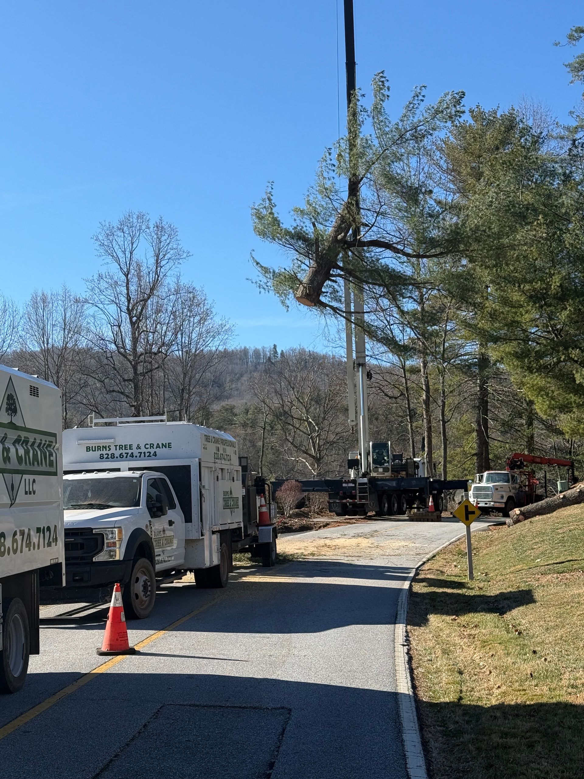 Tree being removed with a crane on a road; work vehicles present.