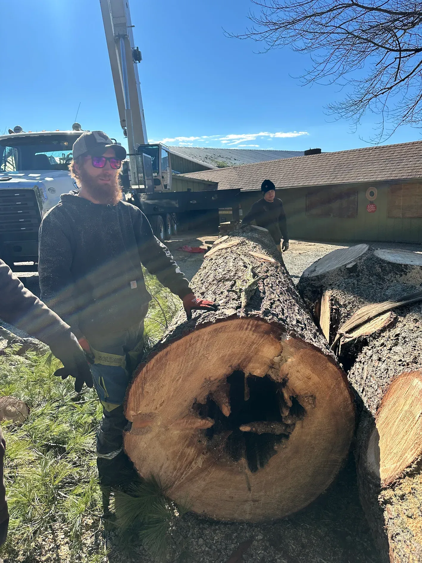 Man points at a tree trunk with a dark core, outdoors on a sunny day. A crane and another person are in the background.