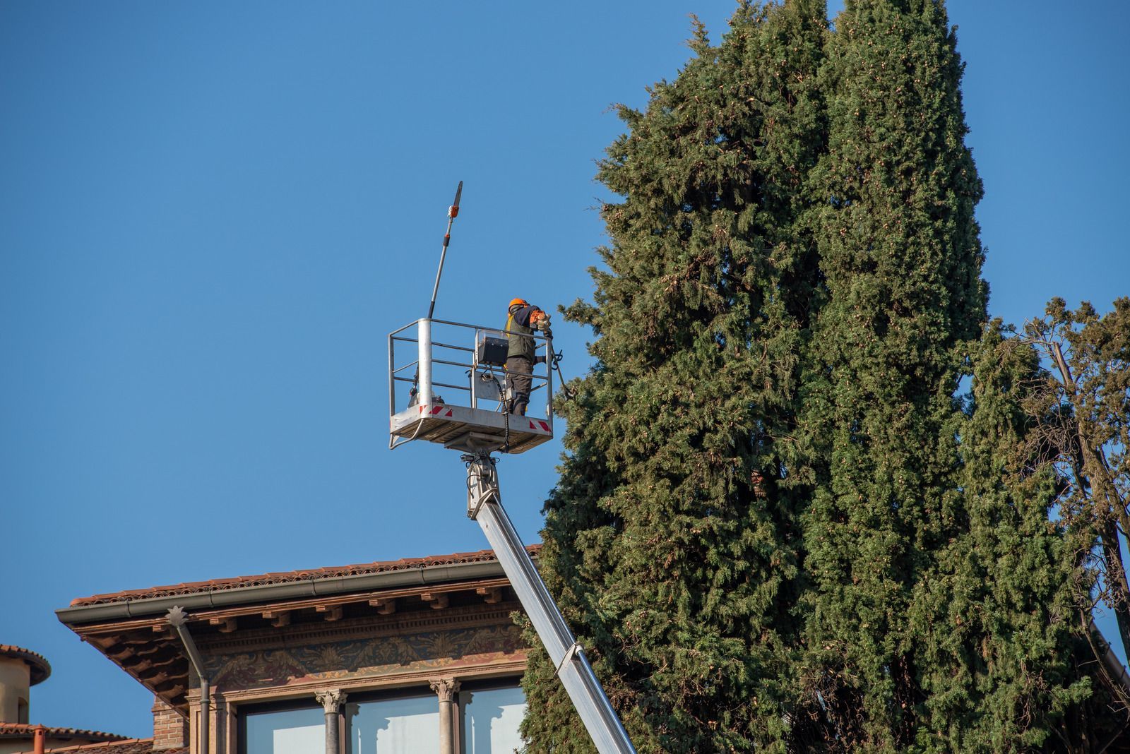 Person on lift platform trimming a tall, green tree near a building with a blue sky background.