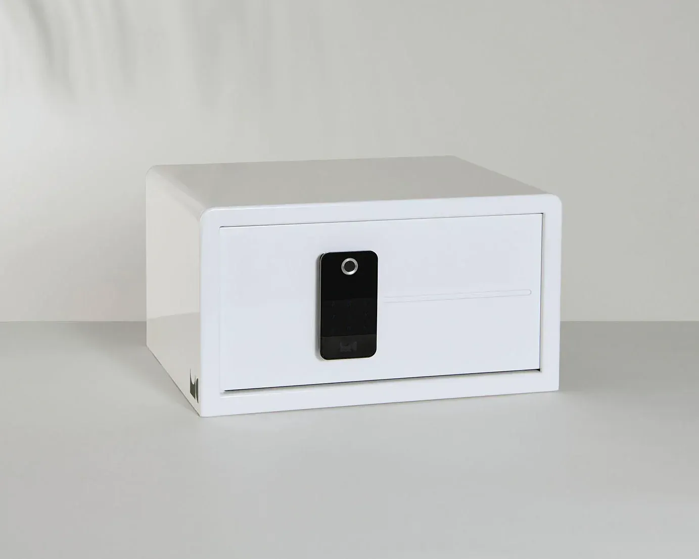 Biocube Mini fingerprint access home safe option