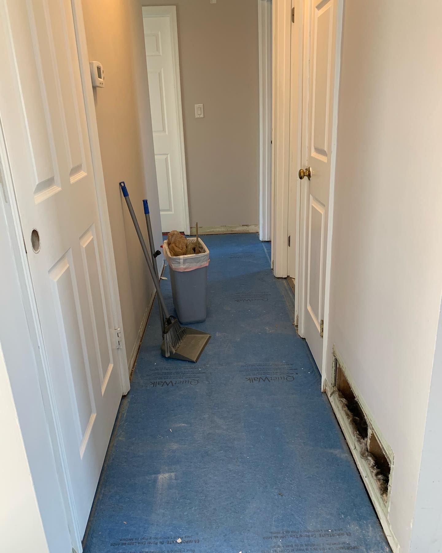 A hallway with a blue carpet and a trash can on the floor.