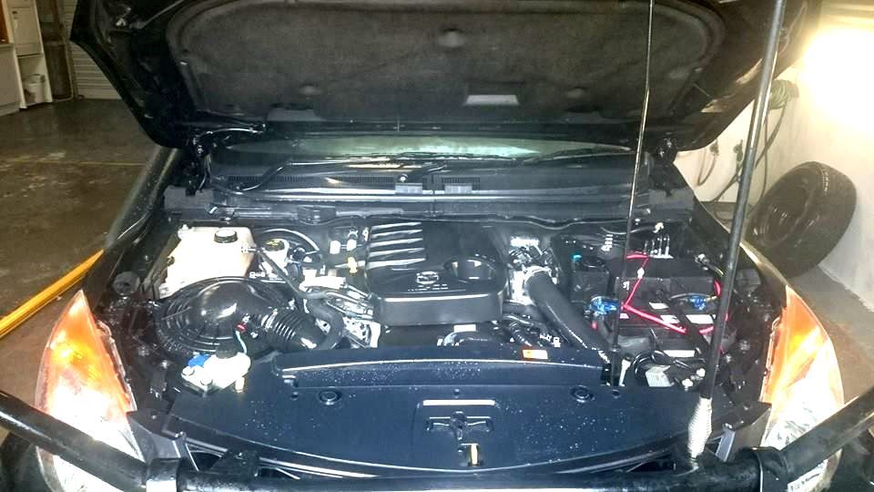 Open engine bay that has been cleaned - Adettra in Tuncurry NSW