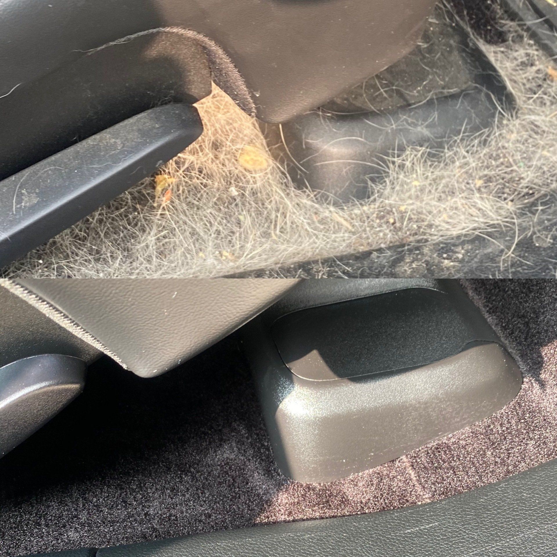 a picture of a car with a lot of hair on it