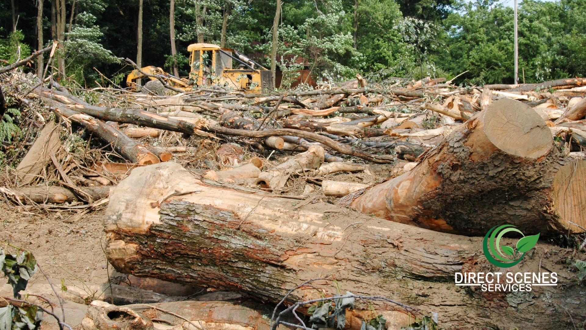 Why Professional Land Clearing Matters Before You Build