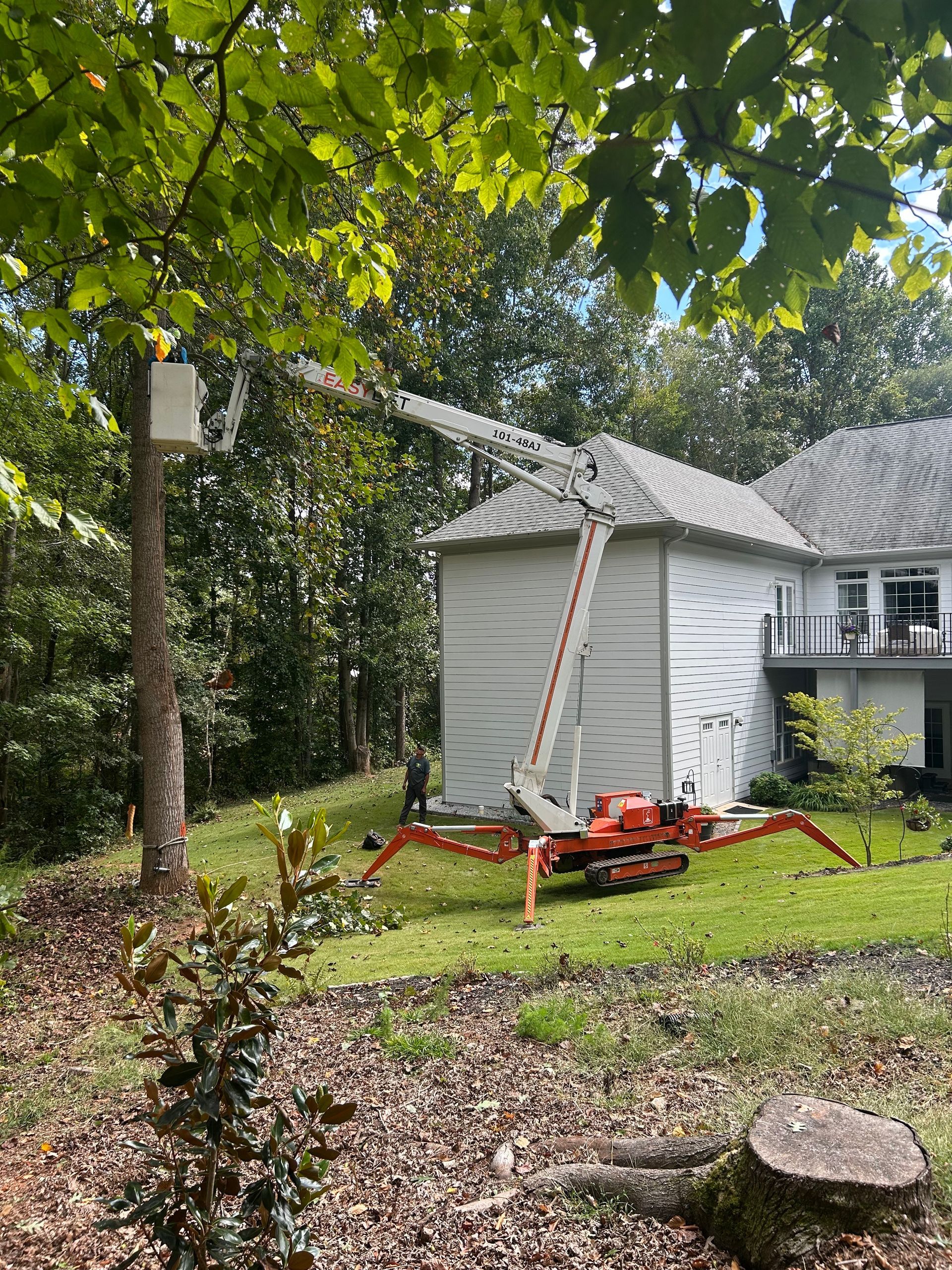 A lift truck next to a house with an elevated platform reaching a birdhouse in a tree.