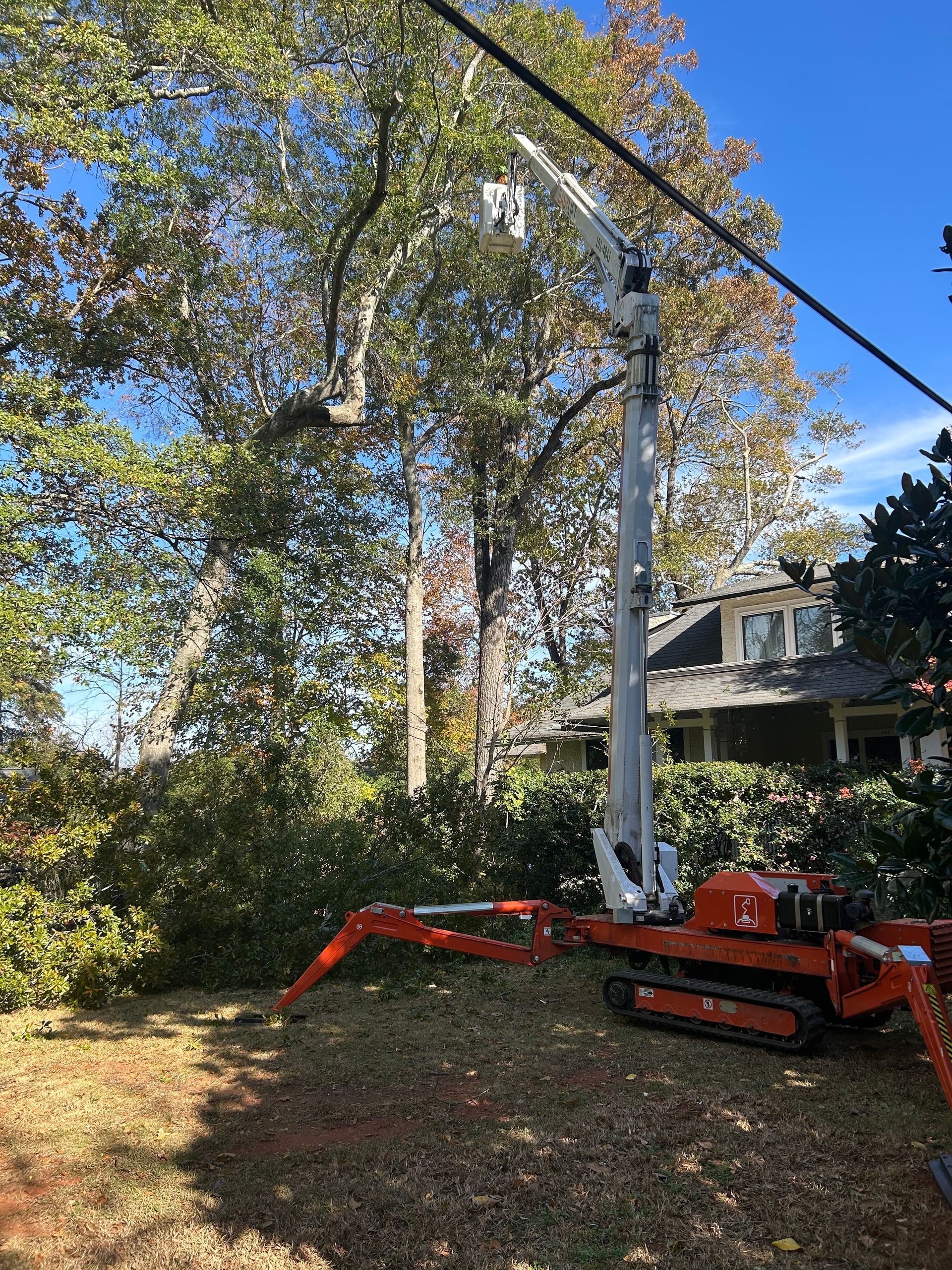 Orange tree trimming machine working on a tall tree near power lines and a house.