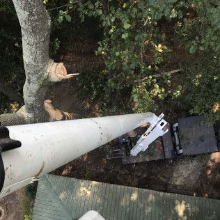 A tree with a broken branch next to a white structure and a partially visible green roof.