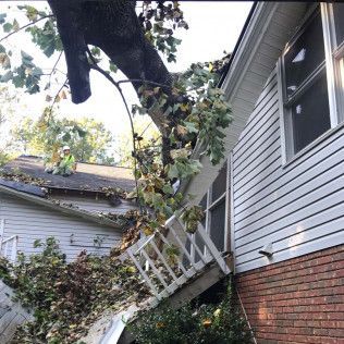 Tree fallen on a house, damaging porch and roof. Person on roof, leaves scattered.